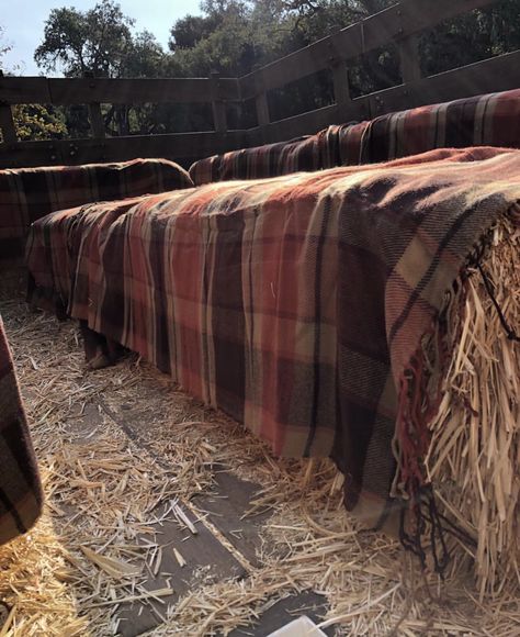 hay rides Hay Ride Aesthetic, Fall Itinerary, Ride Aesthetic, November Mood, Beans And Cornbread, Hay Ride, Hay Rides, Robert Browning, Fall Things