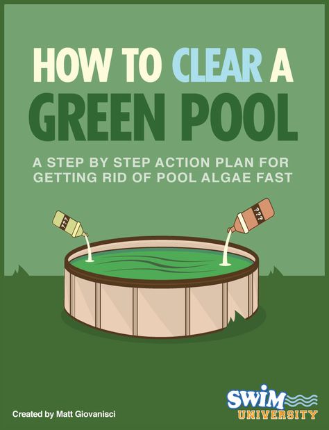 Green Pool Water, Pool Cleaning Tips, Pool Algae, Swimming Pool Maintenance, Swimming Pool Cleaning, Green Pool, Pool Hacks, Pool Life, Pool Care