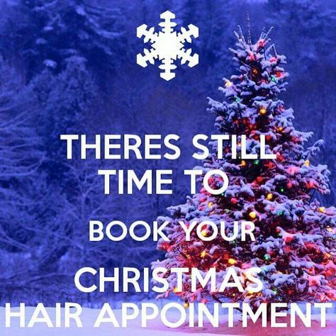 Christmas Appointments Available Salon, Christmas Hair Quotes, Holiday Hair Appointment, Hair Appointment Quotes, Christmas Salon, Hair Quotes Funny, Hair Salon Quotes, Stylist Quotes, Hairdresser Quotes