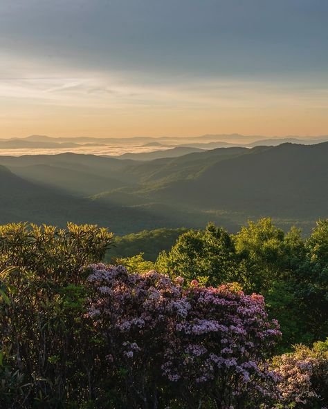 Blue Ridge Mountains Aesthetic, Hug Emoji, Sunset In Mountains, Blue Ridge Mountains Virginia, Blue Ridge Mountains North Carolina, Mountain Sunsets, Georgia Summer, Spring Mountains, Outdoorsy Aesthetic