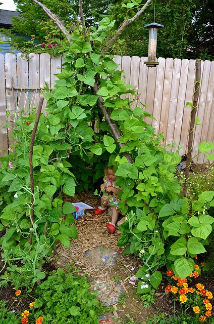 Bean Teepee, Imagination Tree, Play Area Backyard, Outdoor Play Spaces, Play Garden, Sensory Garden, Children's Garden, Natural Playground, Gardening Flowers