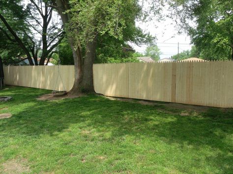 New Privacy Fence Curb Appeal Fence, Fence Around Tree, Around Tree Ideas, Tree Fence Ideas, House Boundary Wall, Back Garden Fence, Chain Link Fence Ideas, Privacy Fence Topper, Privacy Fence Extension