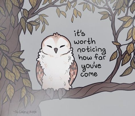 The Latest Kate Wholesome Posts, Barn Owl Drawing, Kate Allen, The Latest Kate, Inspirational Animal Quotes, Latest Kate, Cute Animal Quotes, Fall Semester, Life Tips