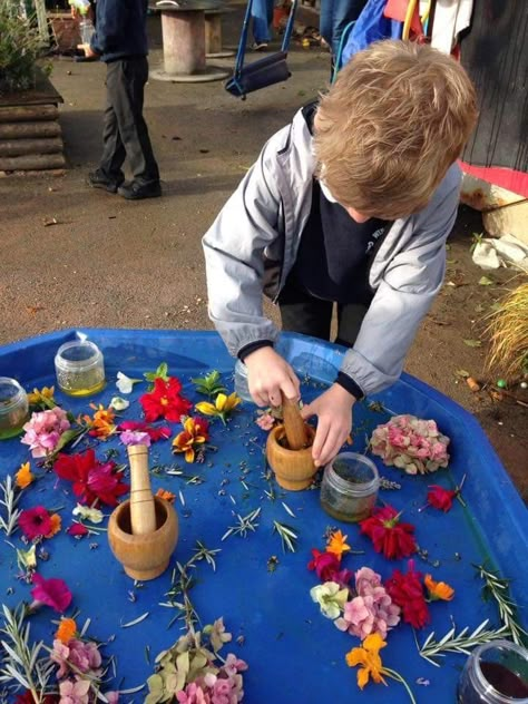 Nursery Experiences Childcare, Tuff Tray Ideas Outdoors, Seasons Eyfs Activities, Spring Reggio Activities, Eyfs Activities At Home, Nature Tuff Tray Ideas, Outdoor Provocations Early Childhood, Garden Tuff Tray Ideas, Outside Tuff Tray Ideas