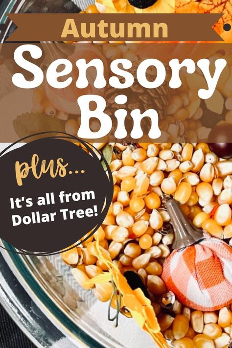 Cute but affordable sensory bin theme ideas for fall, and all of it came from Dollar Tree! Popcorn Activities For Kids, Popcorn Activities, Sensory Bin For Toddlers, Checkered Pumpkins, Sensory Bin Ideas, Fall Sensory Bin, Fall Sensory, Sensory Play Toddlers, Diy Popcorn