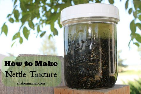 A super simple tutorial for making your own nettle tincture. Nettle Tincture, Nettle Recipes, Herb Tinctures, Tinctures Recipes, Stinging Nettle, Herbal Tinctures, Herbal Recipes, Herbal Healing, Herbal Magic