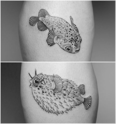 Pufferfish by Minnie at Seventh Day Tattoo Studio. Puffer Fish Tattoo, Obx Tattoos, Marines Tattoo, Japanese Puffer Fish, Biology Tattoo, Sea Life Tattoos, Animal Tattoos For Women, Couples Tattoo, Knuckle Tattoos