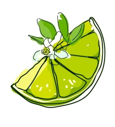 Lime Slice, Digital Art Ideas, Illustration Food, Digital Art Illustration, Lemon Lime, Mojito, Digital Illustration, Art Illustration, Art Ideas