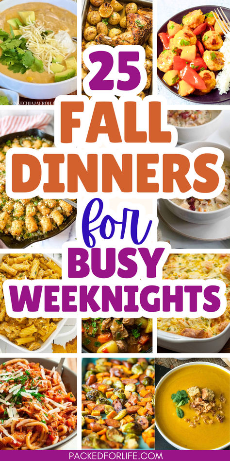 Text overlay 25 fall dinners for busy weeknights. With 12 photos of fall dinners from squash soup & white chicken chili, to tater tot turkey casseroles, & turkey pasta to harvest veggies sheet pan meals and beef stew. Fall Simple Dinner Recipes, Few Ingredient Fall Recipes, Easy Fall Meals For Two, Early Fall Meal Ideas, Dinner Ideas Family Main Dishes, New Food Ideas Simple Recipes, Healthy Dinner Recipes For Fall, Autumn Dinners Healthy, Summer To Fall Recipes