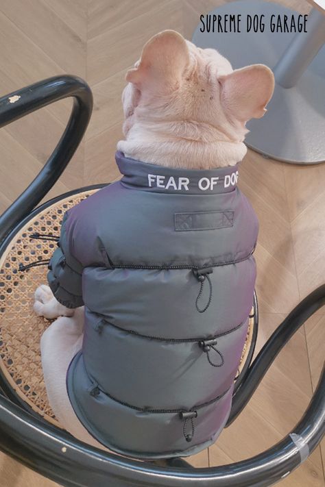 Fear Of Dogs, Puppy Coats, Instagram Dog, Designer Dog Clothes, Dog Boutique, Dog Vest, Luxury Dog, Dog Jacket, Winter Dog