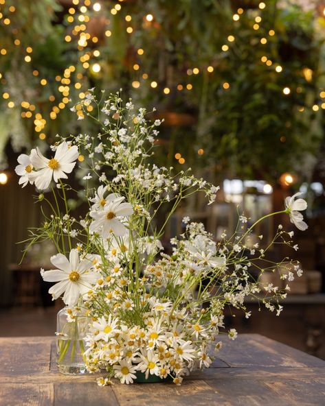 May Wildflower Wedding, Chamomile Flower Centerpiece, Daisy Flower Arrangements Wedding, Cosmos Flowers Wedding Decor, Chamomile Floral Arrangement, Chamomile Wedding Flowers, Chamomile Flowers Wedding, Chamomile Table Decoration, Daisy Wildflower Bouquet