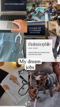 Study Motivation Veterinary, Marine Veterinarian Aesthetic, Vetmed Aesthetic, Veterinary Medicine Aesthetic, Veterinary Aesthetic, Zoology Career, Veterinary Medicine Student, Vet School Motivation, Veterinarians Medicine