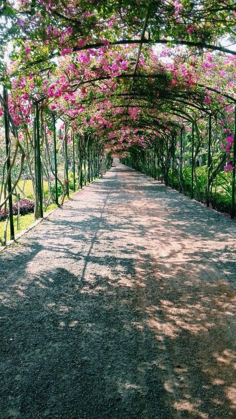 Flower Driveway, Flower Arch Ideas, Garden Home Design, Iron Pergola, Arch Ideas, Hot Tub Garden, Driveway Landscaping, Entrance Gates Design, Flower Arch