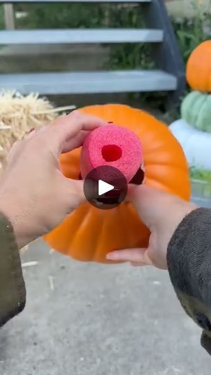 Autumn Diy, Pool Noodle, Fall Door Decorations, Pool Noodles, Fall Door, And Just Like That, Fall Foliage, Most Expensive, A Pumpkin