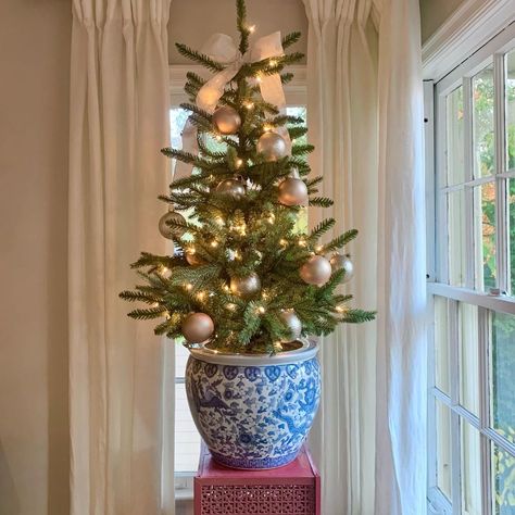 Small Christmas Tree In Planter, Blue And White Chinoiserie Christmas Tree, Christmas Tree In Chinoiserie Pot, Ginger Jar Christmas Decor, Christmas Tree In Blue And White Pot, Ginger Jar Christmas Tree, Christmas Tree In Pot Planters, Blue And White Christmas Tree Decor, White And Blue Christmas Decorations