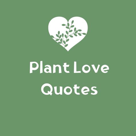 Cute Plant Quotes, Plant Quotes, Elizabeth Rodriguez, Caring For Plants, Whisper Love, Plants Quotes, Beautiful Sayings, Connection With Nature, Love Is Patient