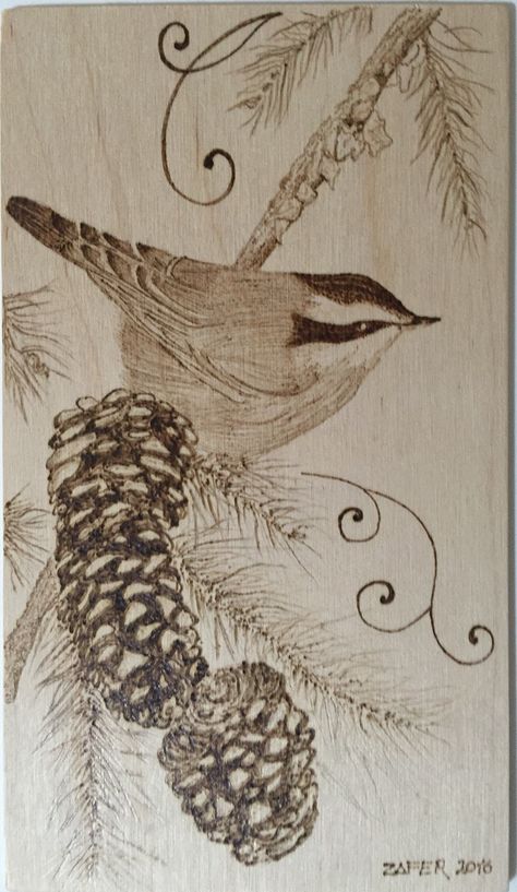 Pyrography Bird on the pine branch Wood Burning Pen, Wood Burning Patterns, Pine Branch, Stained Glass Designs, Pyrography, Pencil Art, Wood Turning, Wood Burning, Glass Design