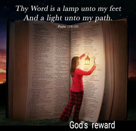 Night Bible Study, Woman Studying, Light Unto My Path, Whom Shall I Fear, Psalms 119 105, Studying The Bible, Amy Grant, Thy Word, Jesus Is Coming