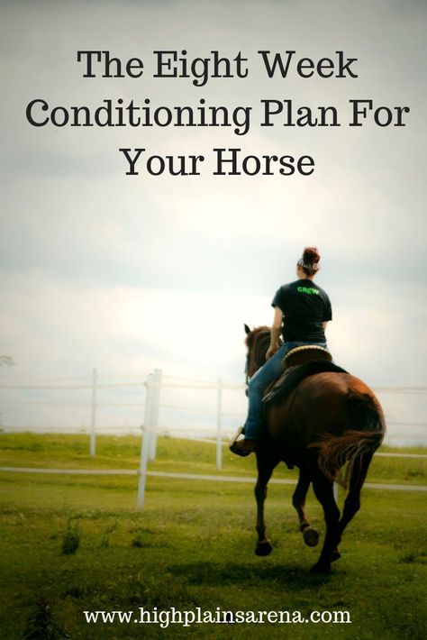 Horse Training Exercises, Riding Exercises, Boarding Facility, Horse Lessons, Horse Information, Horse Exercises, Horse Care Tips, Horse Riding Tips, Horse Info