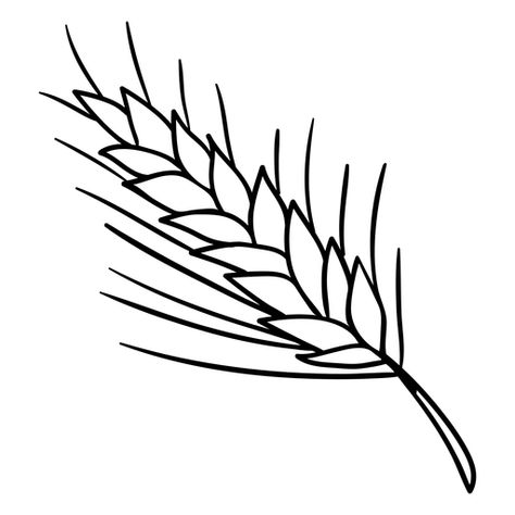 Wheat Drawing Simple, Wheat Template, Wheat Drawing, Vegetable Pictures, Cross Tattoos For Women, Hand And Finger Tattoos, Wheat Design, Leaf Drawing, Outline Drawings