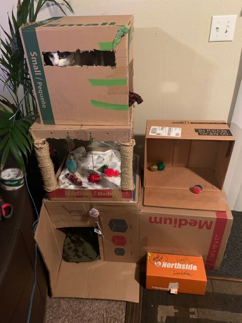 Super easy cat tree. I had a lot of boxes from moving & only took an hour. Mine is nothing fancy hut you can customize it however you want💛 What i used: •3 medium boxes & 2 small boxes from Walmart •twine rope from Homedepot. •shoe box for a step & storage •packing tape Cardboard Cat Tree, Diy Cat Tower, Diy Cat Tree, Diy Cat Toys, Cat Tree Condo, Cat House Diy, Cat Tower, Cat Box, Packing Tape