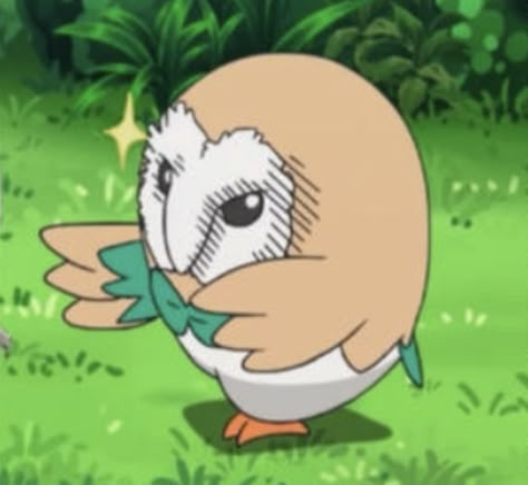 Rowlet Meme, Rowlett Pokemon, Gay Sticker, Pokemon Stickers, Out Of Context, Pokemon Center, Pokemon Memes, Pokemon Funny, Pokemon Trading Card