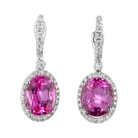 Pink Sapphire Jewelry, Elegant Dressing, Buy Earrings Online, Stunning Aesthetic, Pink Sapphire Earrings, Gia Certificate, Turtle Dove, Halo Design, Pink Gem