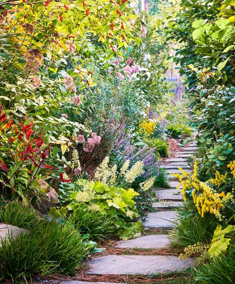 These Native Plant-Filled Landscapes Prove That Suburbia Can Be as Lush as a Forest Wildscaping Landscapes, Biodiverse Landscaping, Lush Landscaping, Native Plant Landscaping, Native Plant Garden, Native Landscaping, Native Landscape Design, Native Landscaping Midwest, Seattle Landscaping