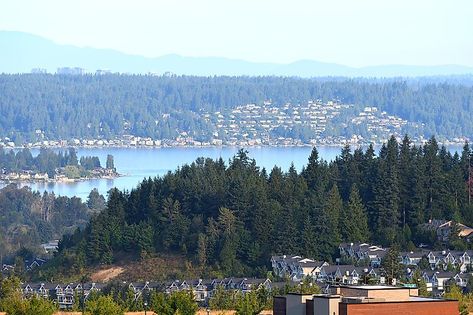 Issaquah Washington, Fountain Park, Skagit Valley, Cozy Restaurant, Seattle City, Summer Camps For Kids, Amazing Places To Visit, City Limits, The Pacific Northwest