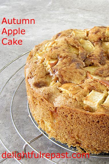 Autumn Apple Cake / www.delightfulrepast.com Fluffy Apple Cake, Apple Cake Made With Box Cake, Bananas Pancake, Best Cooking Apples, Craving Cake, Apple Cake Recipe Easy, Fall Desserts Apple, Apple Blondies, Lemon And Coconut Cake