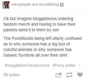 Muggleborn Headcanon, Letter From Hogwarts, Harry Potter Puns, Yer A Wizard Harry, Acceptance Letter, Harry Potter Headcannons, Harry Potter Collection, Harry Potter Jokes, Harry Potter Marauders