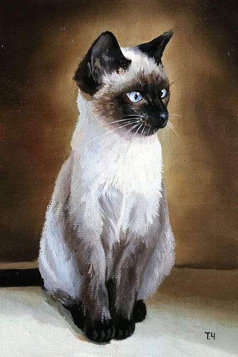 Siamese Cat Oil Painting, Siamese Cat Painting Acrylic, Cat Paintings Acrylic, Cat Sketch Realistic, Realistic Painting Ideas, Painting Ideas Cat, Cat Painting Easy, Cat Painting Acrylic, Siamese Cat Painting