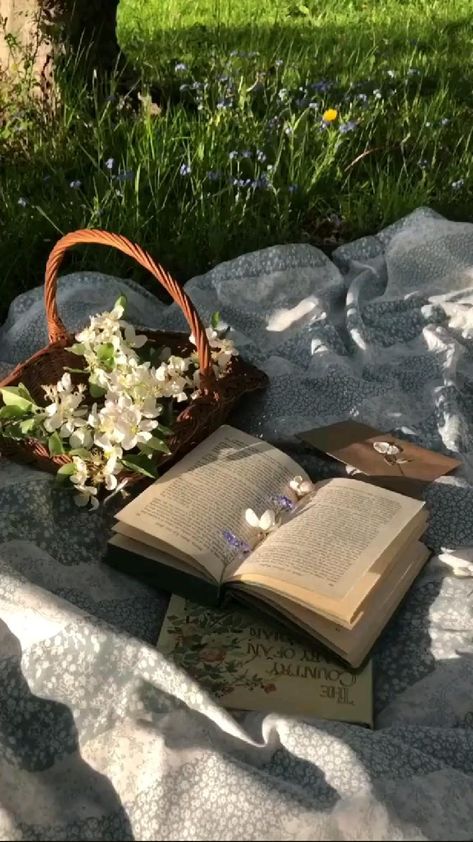 Books In Nature, Picnic Video, Behind Blue Eyes, Qur'an Photography, Video Nature, Videos Aesthetic, Rosé Aesthetic, Feeling Pictures, Aesthetic Videos For Edits Love