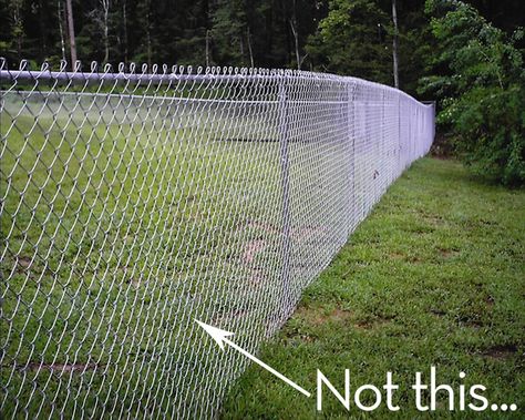 Love this idea! We use our fencing around the garden as trellis as well. So much more economical than using expensive wood or plastic trellis. Painted Chain Link Fence, Fence Weaving, Chain Fence, Front Yard Fence, Fence Art, Fence Landscaping, Modern Fence, Fence Decor, Chain Link Fence