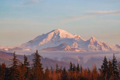 #Seattle Must See - #mountbaker 🏔 🗻⛰#Washington, the most beautiful state in the Pacific Northwest. 🌲#pnw #pnwtravel #WashingtonState #emeraldcity #mountains #travel 🛫 #tourism #travelseattle #mountains #caacades #cascademountains #olympicmountains Washington Mountains Aesthetic, Distant Mountains Landscapes, Pacific Northwest Wallpaper, Cinematic Environment, Pacific Northwest Aesthetic, Seattle Landscape, Pnw Mountains, Incense Collection, Mountain Scape