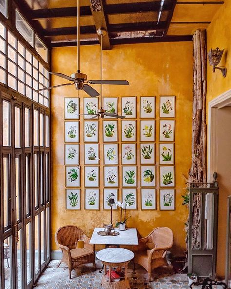 My feed is filled with mellow yellow but I’m not complaining ✨🥰 Mexican Interiors Traditional, Colombian Home Design, Mexico Apartment Decor, Mexico Bedroom Ideas, Old Mexico Aesthetic House, Colombian House Interior, Latin American Interior Design, Mexican Esthetic Home, Traditional Mexican Interior Design