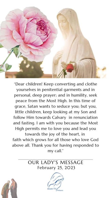 Medjugorje Messages, Seek Peace, Immaculate Conception, Heart Of Jesus, Blessed Mother, Mother Mary, Virgin Mary, Junk Journals, Jesus