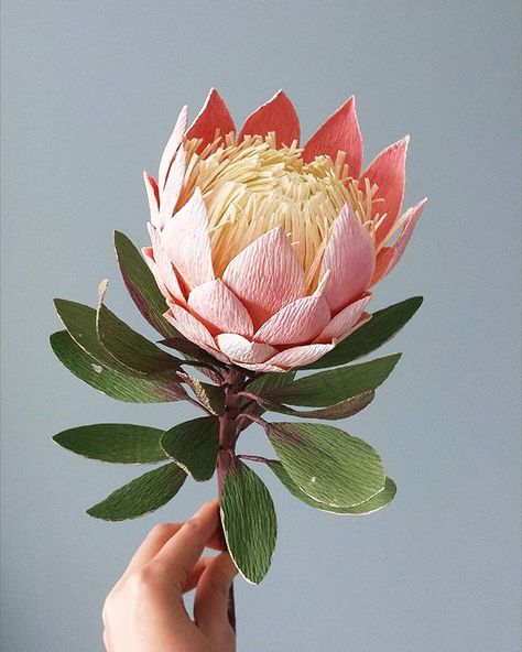 King protea 😍😍😍... so happy with this one! #paperflowers #paperprotea #paperart #paperartist #handpainted #handmade #kingprotea Lounge Mural, Crepe Flowers, Săpunuri Handmade, King Protea, Paper Flower Art, Protea Flower, Fleurs Diy, Paper Engineering, Australian Native Flowers