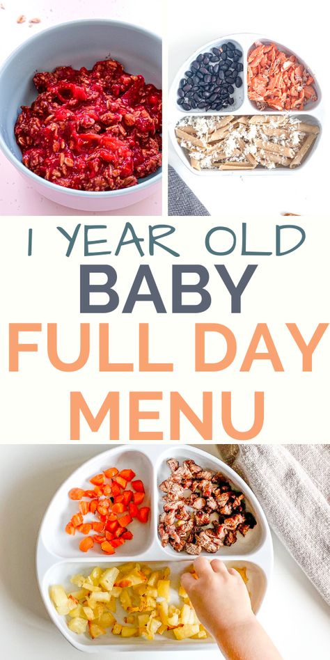 Easy, quick, nutritionist created homemade baby food recipes for an 12 month old baby. #babyrecipes #babyfood #1yearold 12 Month Old Schedule Food, One Year Old Food Recipes, 12 Month Old Food Recipes, Meals For My 12 Month Old, 11 Month Old Eating Schedule, 13 Month Food Ideas, Menu For 12 Month Old, 12 Month Recipes, Simple Meals For 12 Month Old