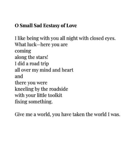 Anne Carson Anne Carson, Ill Be Okay, Pretty Writing, I Just Love You, Bad Dog, Love Me Like, Poetry Words, Aesthetic Words, White Space