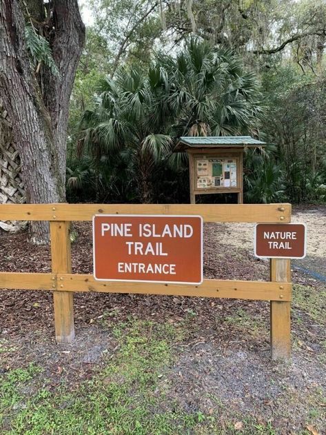 The Pine Island Trail in Florida is a 4.9-mile trek through Blue Spring State Park that takes guests through the wilderness and back. Pine Island Florida, Blue Springs State Park, Florida Travel Destinations, Gasparilla Island, Gulf Coast Beaches, Florida State Parks, Places In Florida, Pine Island, Florida Trip