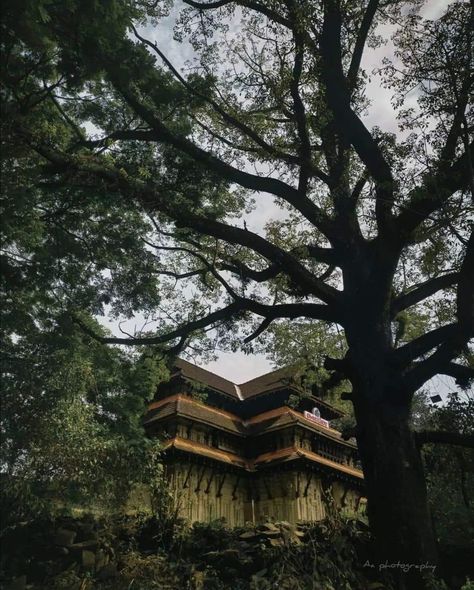 Kerala Culture, Rainy Day Pictures, Colour Reference, Temple Photography, Rainy Day Aesthetic, Beautiful Scenery Photography, Day Aesthetic, Funny Cat Wallpaper, Beautiful Wallpapers For Iphone