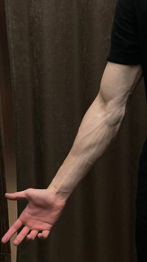 Arm Veins, Veiny Arms, Hand Veins, Arm Drawing, Muscle Tattoo, Arms And Abs, Gentleman Aesthetic, Male Pose Reference, Arm Art