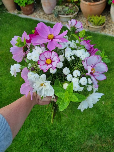 Pink Cosmos Bouquet, Cosmo Flower Bouquet, Cosmos Flower Bouquet, Cosmo Bouquet, Cosmos Wedding Bouquet, Cosmos Bouquet, White Cosmos, Wildflower Bouquets, White Cosmo