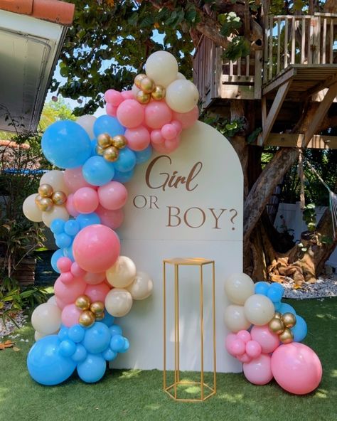 What will it be? 🙈 Classic Gender Reveal decoration 🩷🩵 #balloongarland #birthdaypartyballoon #miamibirthdayparty #southflbirthdayparty #southflorida #birthdaycake #birthdaygirl #birthdayboy #genderrevealdecor #babyshower #babyshowerballoons #babyshowerdecorations #graduationparty #birthdaypartyballoondecor #birthdayideas #marqueenumber #southfloridaballoons #livelyevents #balloonsmallbusiness #balloonarrangement #babyboy #babygirl Gender Reveal Backdrop Ideas Diy, Pink And Blue Gender Reveal Decorations, Park Gender Reveal Party, Park Gender Reveal, Backyard Gender Reveal Party, Gender Reveal Theme Ideas, Gender Reveal Decor, Baby Gender Reveal Party Decorations, Stitch Cake