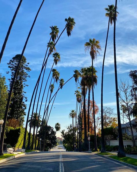 Starway To Heaven, Pasadena California, California Photography, Stairway To Heaven, Living Legends, Vacation Mode, Green Life, Perfect Life, City Aesthetic