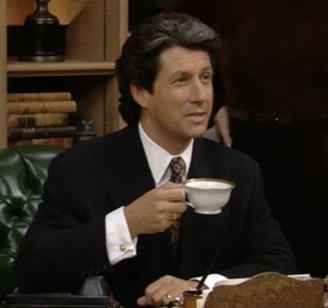 charles shaughnessy playing mr sheffield in “the nanny” - 1993 The Nanny Maxwell, Nanny Show, Mr Sheffield, Maxwell Sheffield, Nana Fine, Die Nanny, Charles Shaughnessy, Bree Van De Kamp, Fran Fine