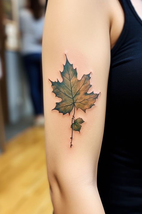 Discover the artistry of leaf tattoos. From realistic veins to elegant inking techniques, explore the beauty of dark green and light brown maple leaf tattoos. #tattooideas #naturelovers #leafart Maple Leaf Tattoos, Inking Techniques, Leaf Art, Leaf Tattoos, Maple Leaf, Light Brown, The Beauty, Dark Green, Tattoos