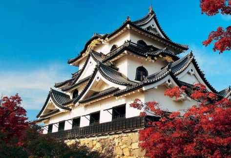 Japanese Fortress, Hikone Castle, Castle Map, Japan Castle, Architecture Japan, Japanese Castles, Himeji Castle Japan, Castle Architecture, History Architecture