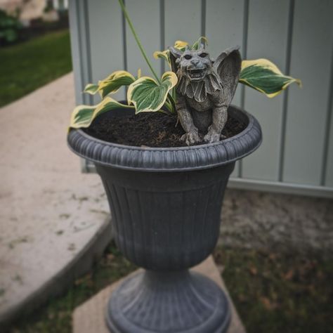 Spooky Sam | Goth garden 🌿 How'd I do? . . #gothichome #gothgarden #blackthumb #urnplanters #plantsofinstagram | Instagram Goth Patio Decor, Gothic Garden Decor, Goth Yard, Gothic Gardens, Goth Garden, Gothic Garden, Urn Planters, Home Porch, Gothic House